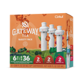 Vitamin-Infused Gateway Tea 6-Pack Variety Pack HM0F - Sugar-Free Fruit Flavor Cartridge Refill - Default Title